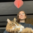 Profilbild für Emilia H