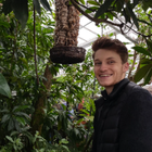 Profilbild für Vincenz M