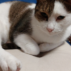 Profilbild für Elvira W