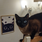 Profilbild für Marina P
