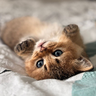 Profilbild für Klaudia S