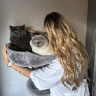 Profilbild für Isabell H