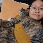 Profilbild für mingmeng L