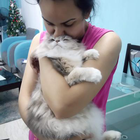 Profielfoto voor Marian G