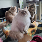 Profilbild für Fabienne B