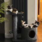 Avatar for Brian and Lynne C