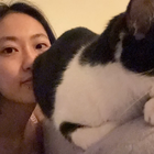 Profilbild für Chen N