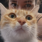 Avatar pour Sarar S