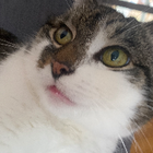 Profilbild für Laura S