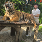 Profilbild für Kamigar M