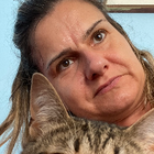 Avatar pour Feutré F