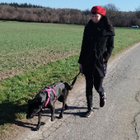 Profilbild für Levke T