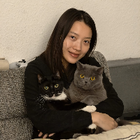Profilbild für Yangjing Y