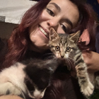 Profilbild für Akça D