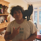 Avatar for Stefano G