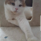 Profilbild für Tina T