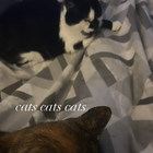 Avatar for Ashleigh B