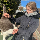 Profilbild für Merle H