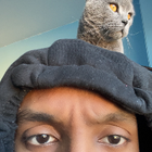 Avatar for Abdi B