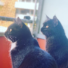 Profilbild für Sabrina F