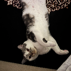 Profilbild für Maria R