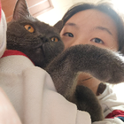 Profilbild für Yuhan Z