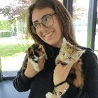 Profielfoto voor Alice T