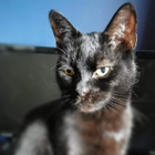 Avatar for Steffany R