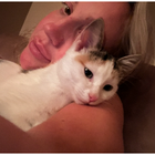 Avatar for Francesca B