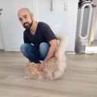 Profilbild für Luca C