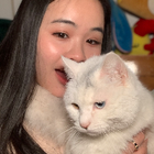 Profilbild für Shufang L