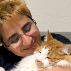 Profilbild für Marziyeh M