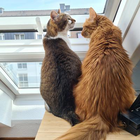 Profilbild für Jill C