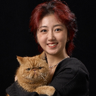 Avatar for Qiao Z