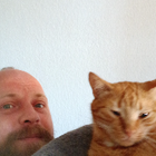 Profilbild für Peter B