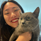 Avatar for Hui H