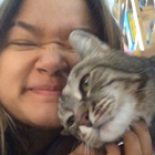 Profilbild für Linh H