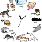 Profielfoto voor Suli H