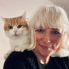 Profilbild für Nadine K