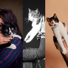 Profielfoto voor Maggie D