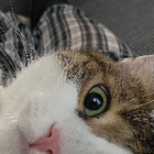 Profilbild für Kristin W