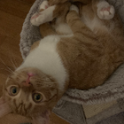 Profilbild für Kilian H