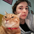 Profilbild für Gulzar M