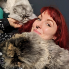 Profilbild für Anna S