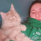 Profilbild für Olivia J