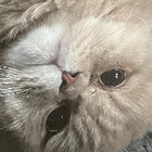 Profilbild für Mandy B