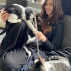 Profielfoto voor Anna v