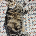 Profilbild für Sigi W