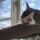 Profilbild für Tania H