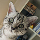 Profilbild für Kristin W